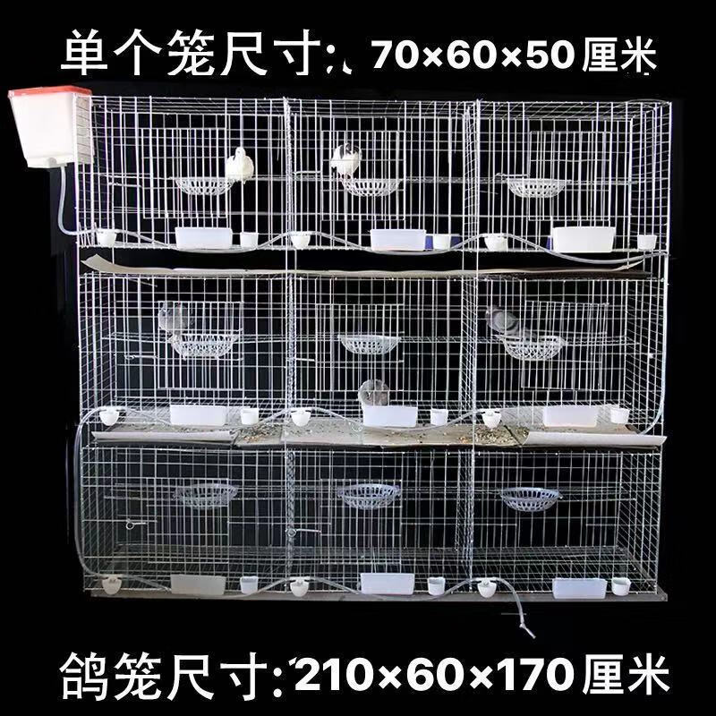 mdng鸽子笼家用繁殖配对笼养鸽子专用肉鸽养殖笼子 白色 元宝9位全套