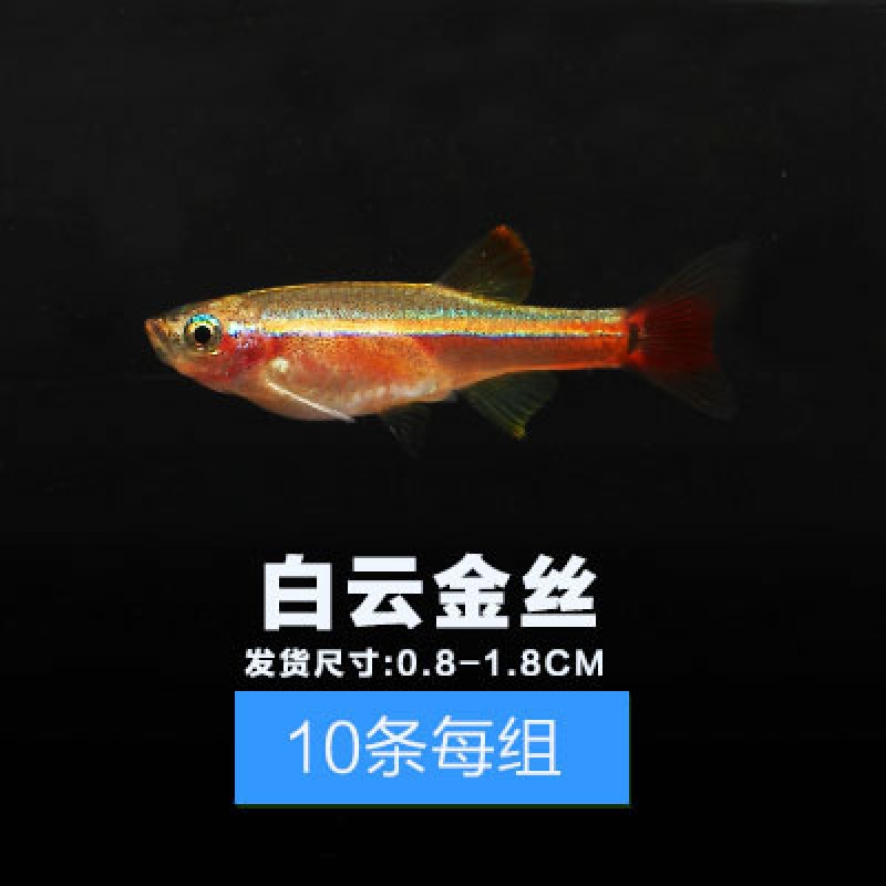 8-1.8cm