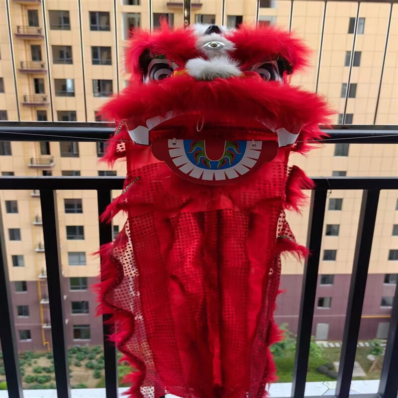 9寸学生舞狮羊毛双人儿童舞狮子全套单人眨眼塑料醒狮表演小狮子6 6寸