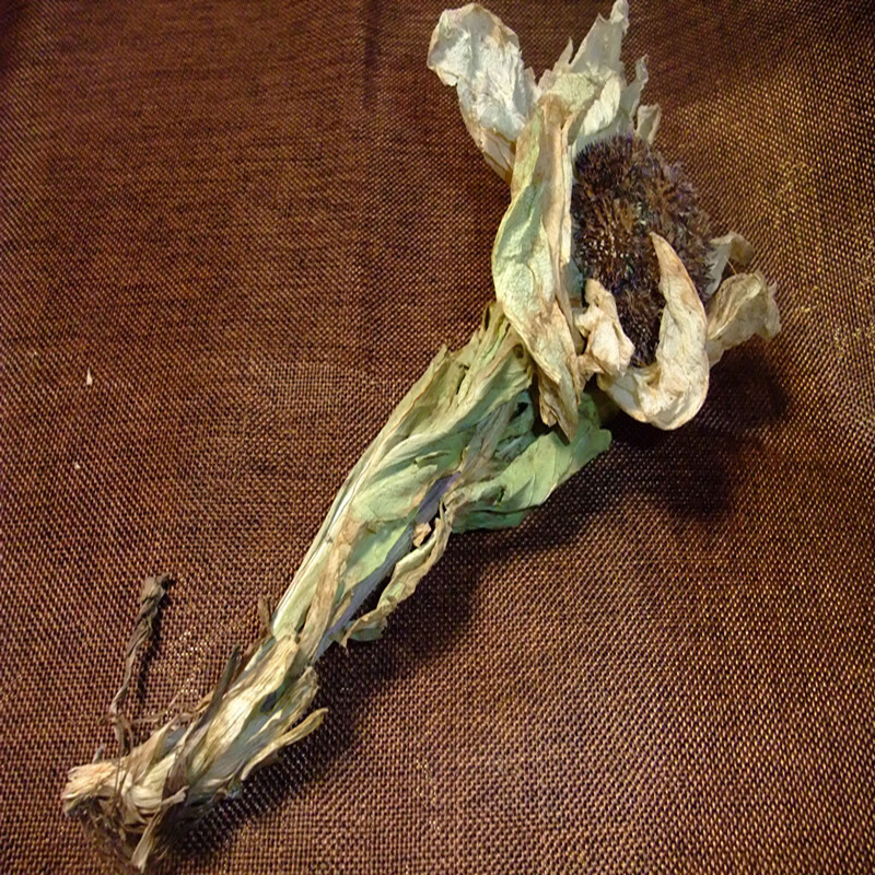 佰乾堂 新疆天山雪莲花干花天山雪莲大朵满泡酒中药材