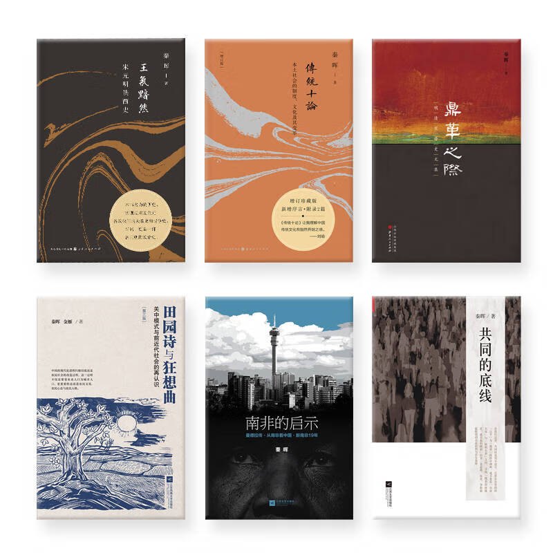 秦晖系列6册：鼎革之际：明清交替文集+南非的启示+共同的底线+田园诗与狂想曲+传统十论精装+王气黯然