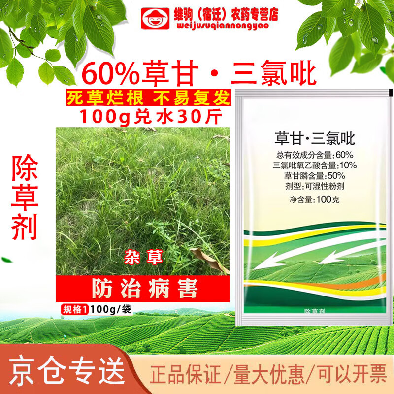 60%草甘三氯吡非耕地开荒构树络石藤铁芒箕笔筒草 除草剂 100g(6套)