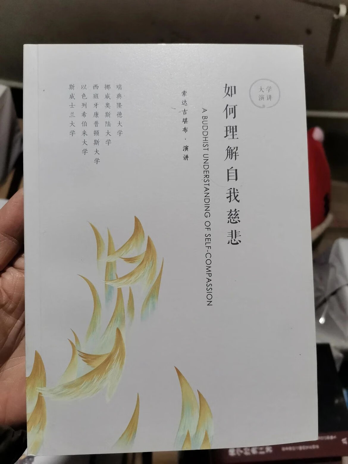 特级 如何理解自我慈悲 大学23
