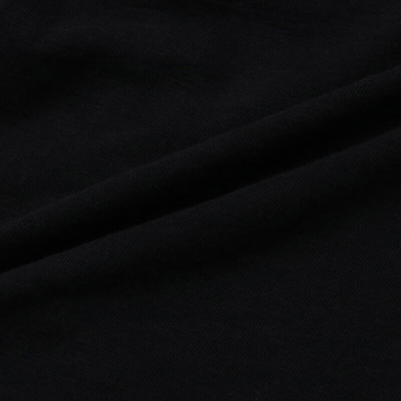 CHUMS洽洽鸟圆领卫衣户外运动休闲薄款净版棉质休闲上衣CH00-1404 黑色K001 L (175)