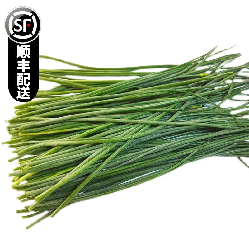 甘肃沙葱民勤特产大漠沙葱胡葱现摘发顺丰野葱保温箱发货农产品 2斤