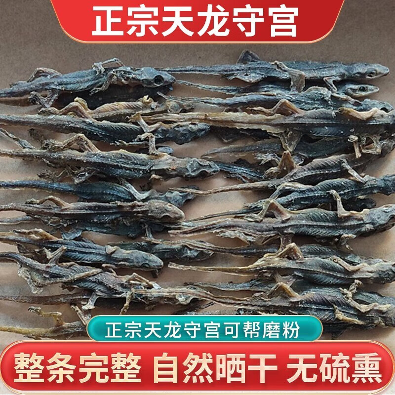 壁虎守宫天龙中药材整条国产爬墙虫天龙干壁虎干中药材 10克