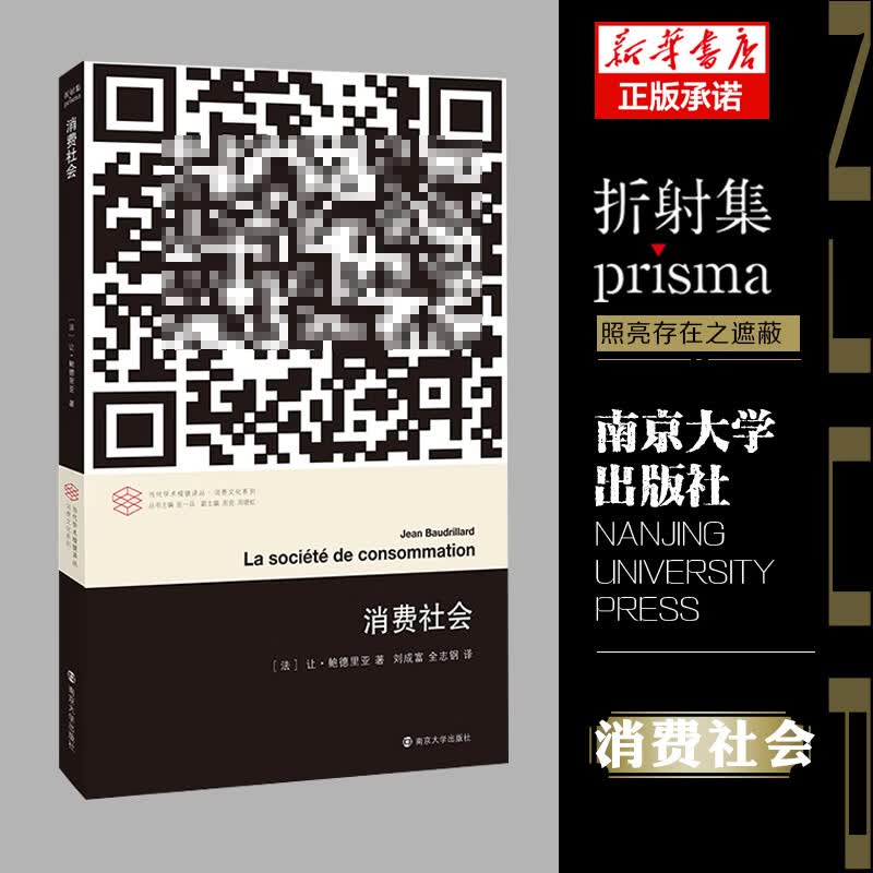 消费社会/消费文化系列/当代学术棱镜译丛