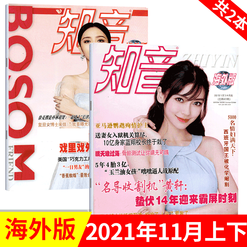 【共2本】知音海外版 杂志 2022年女性情感生活故事期刊 2021年11月上下 2本