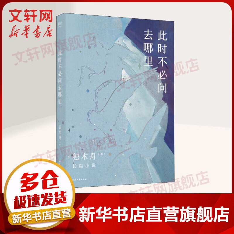 此时不必问去哪里 独木舟的小说