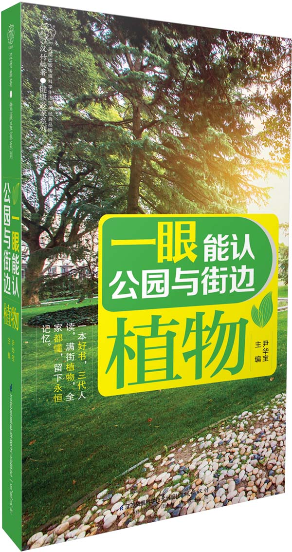 一眼能认公园与街边植物(汉竹)