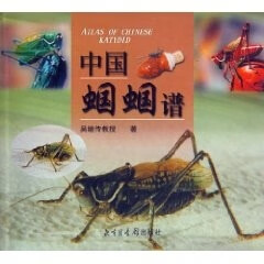 中国蝈蝈谱 吴继传