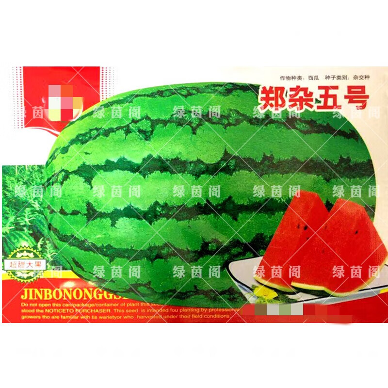 原装郑杂五号西瓜种子25粒