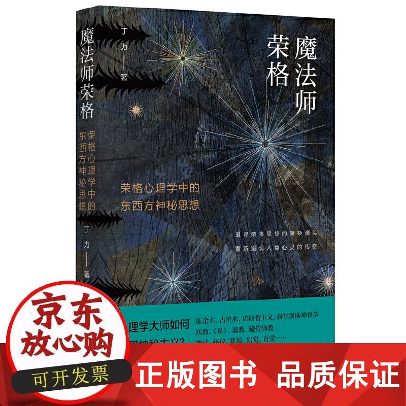 魔法师荣格 丁力 9787203119555