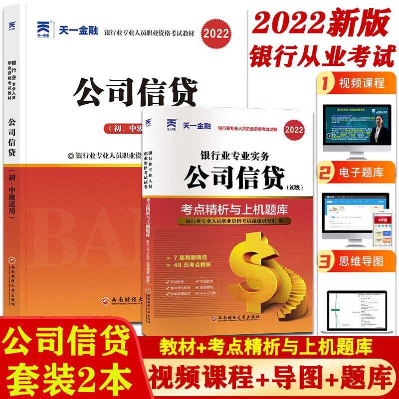 2022新版天一金融2022年银行从业资格证考试 银行业法律法规与综合能力银行管理公司信贷风险管理个人理财个人贷款 教材/上机题库 公司信贷 教材+试卷