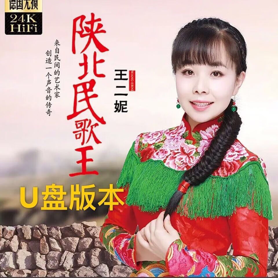 纽曼民歌王二妮陕北民歌专辑u盘经典歌曲无损音质汽车载 16gb