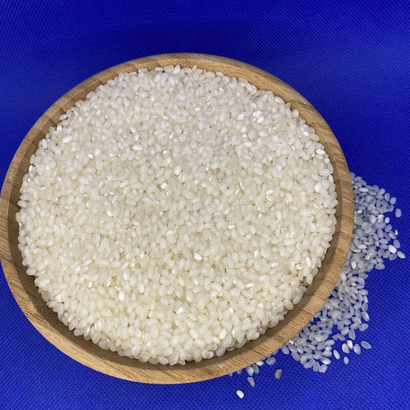 新米崇明大米南粳9108粳米生态香米软糯老人 10kg 崇明软香米