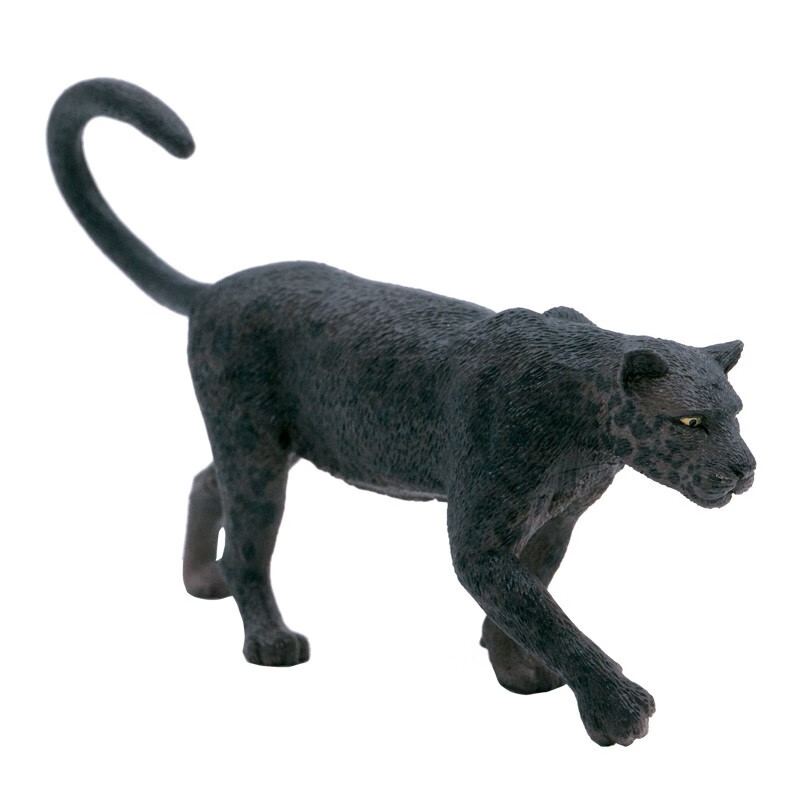 英国collecta野生动物黑豹 金钱豹花豹肉食雄性仿真模型儿童玩具 自然