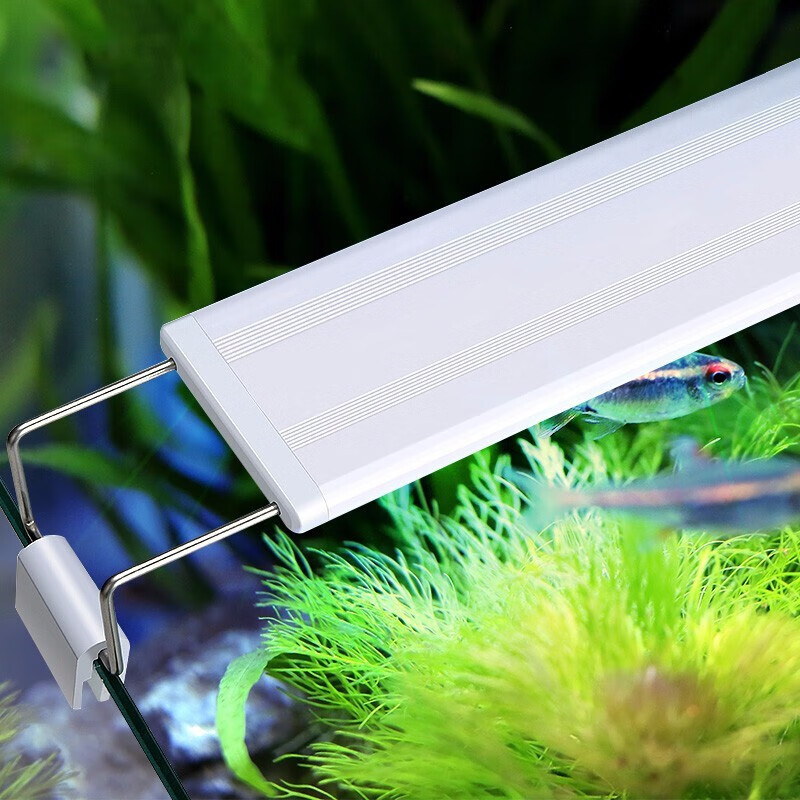朋友说说迪普尔鱼缸灯鱼缸灯led灯哪个配置好哪个更好？使用二星期真相分享