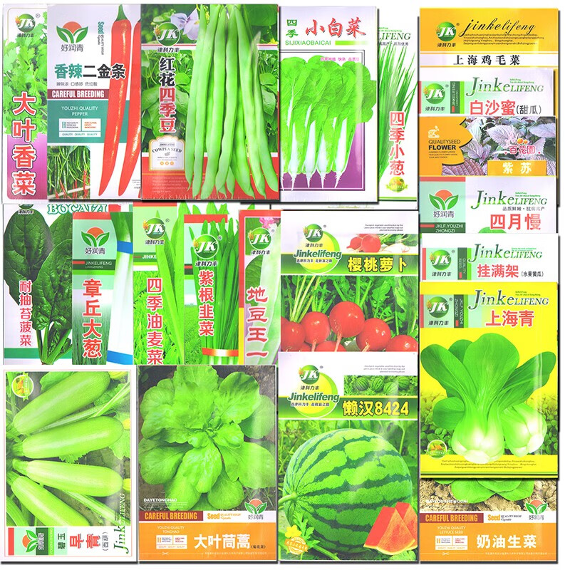 伊织春 10种当季蔬菜种子四季播种菜种子套餐小葱香菜