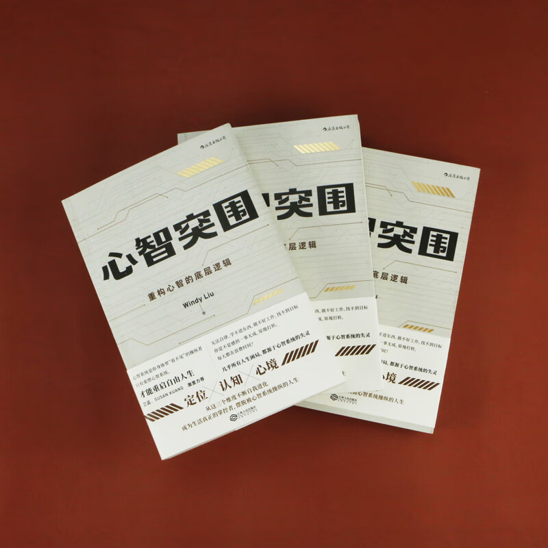 心智突围：重构心智的底层逻辑详情图