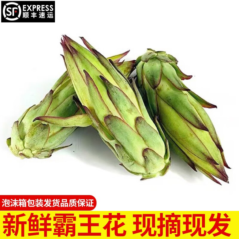 霸王花新鲜火龙果花靓花酒店特色蔬菜花苞炖汤煲汤现摘发顺丰 500g