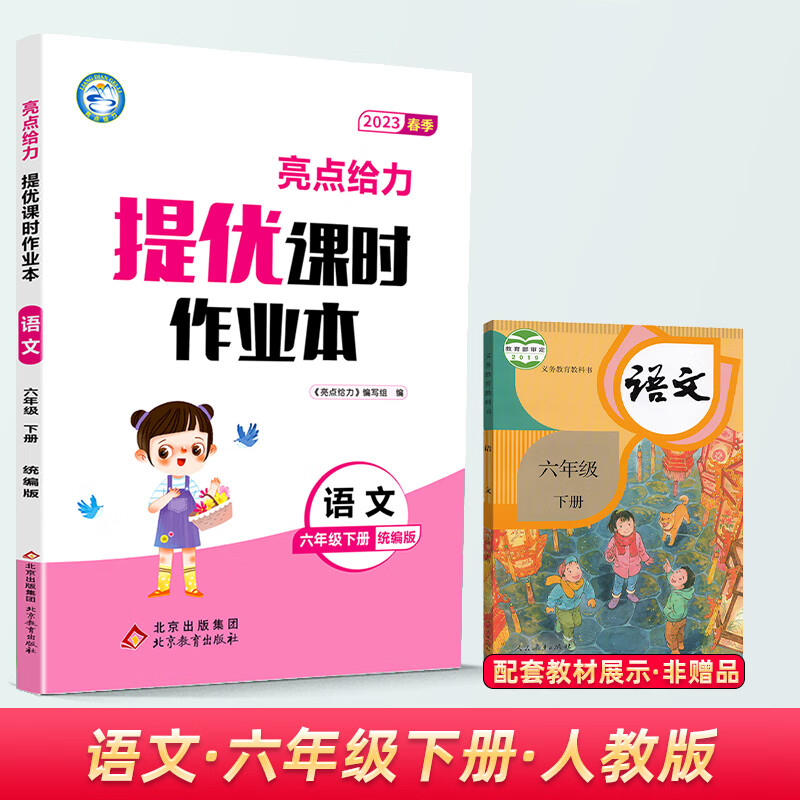 2023春新版亮点给力提优课时作业本六年级下册语文人教版6下RJ小学教材同步练习册