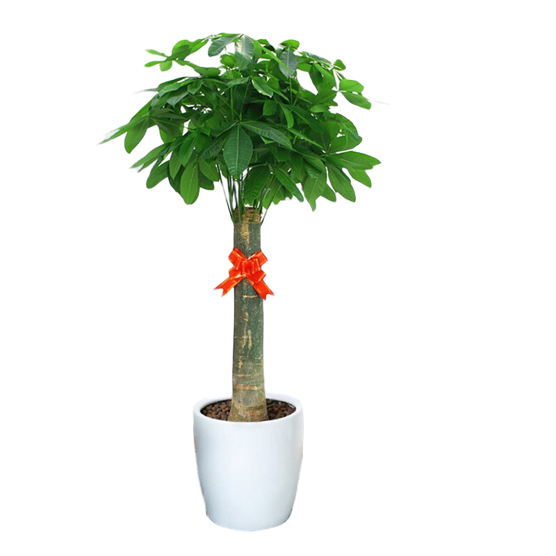 Only youСʱֲڿ칫տҵǨ ˷