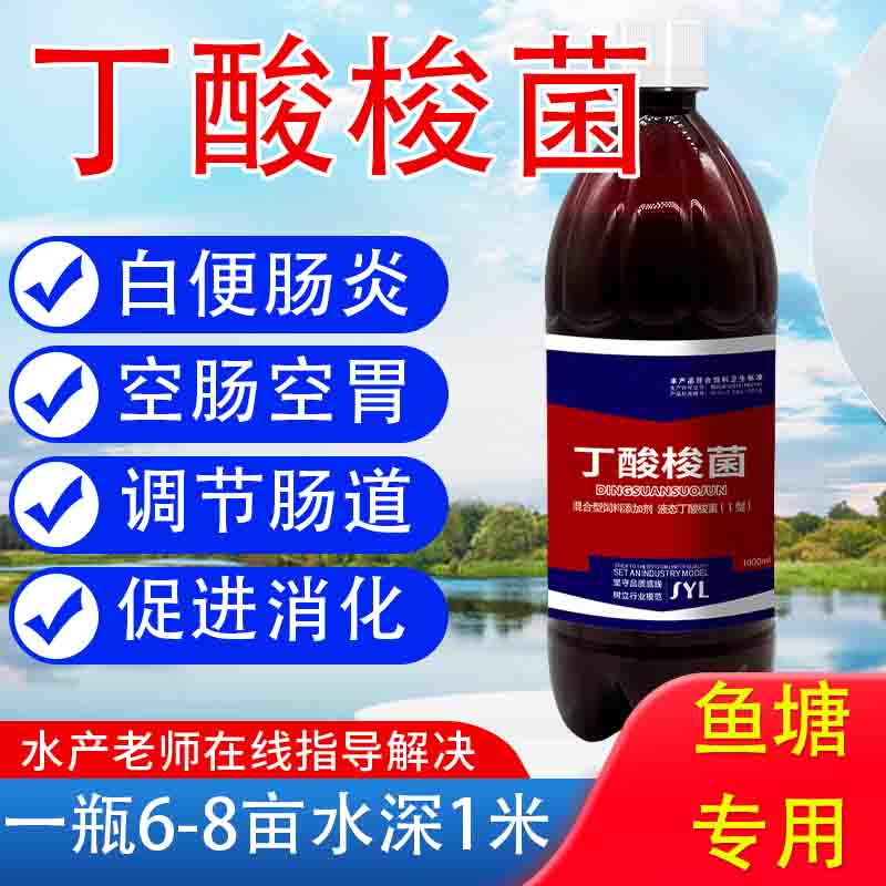 赛尔特嘉丁酸梭菌水产养殖用乳酸菌益生菌鱼虾蟹养殖调节肠道白便肠炎