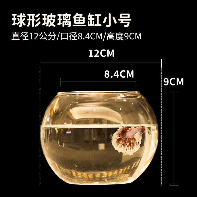 威毕办公桌面透明鱼缸金鱼缸创意小型造景生态圆形鱼缸家用玻璃鱼缸 球形玻璃鱼缸小号