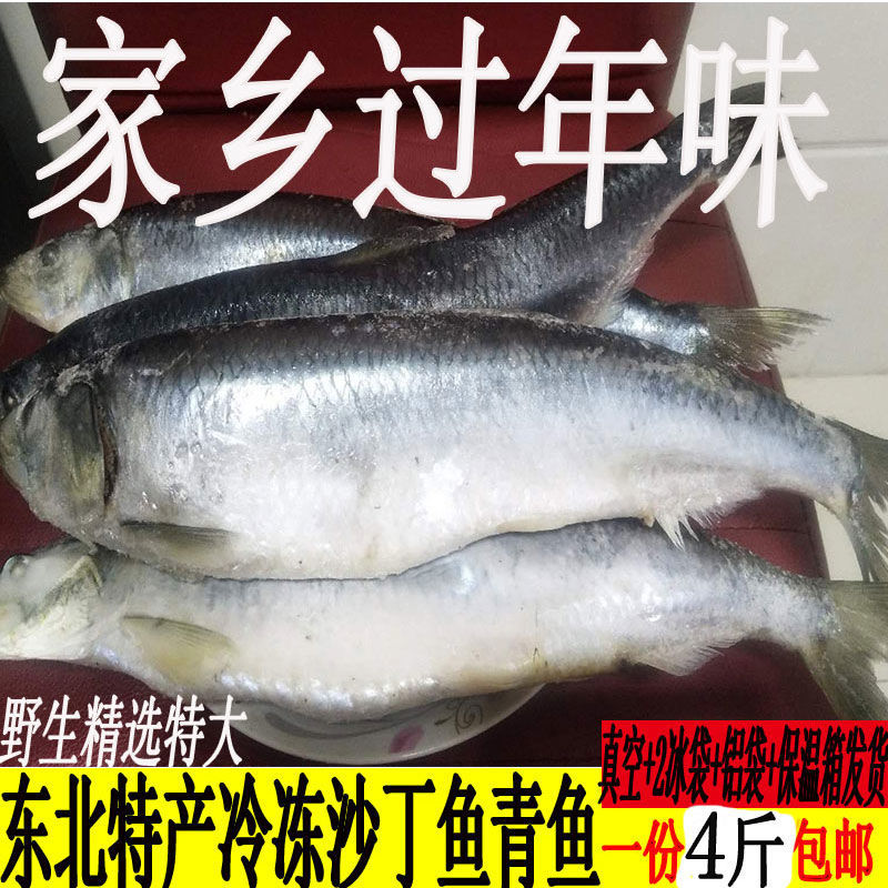青鱼东北年货沙丁鱼新鲜冷冻沙丁鱼 海鱼 满籽满油4斤装 5斤精选沙丁鱼青鱼