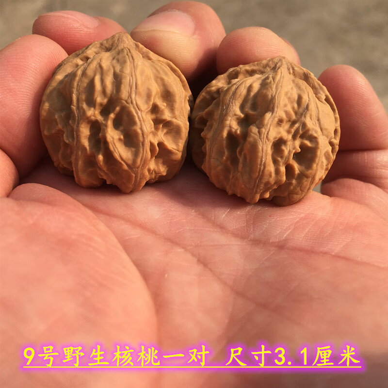 牧思(musi)文玩核桃小对深纹八棱手捻迷你把玩秋子小尺寸袖珍粗筋圆