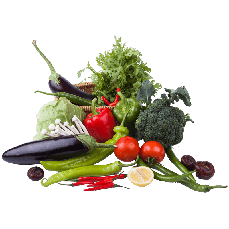 北蔬 蔬菜种子大全香菜菠菜冬季阳台菜籽 6种叶菜类蔬菜种子套餐