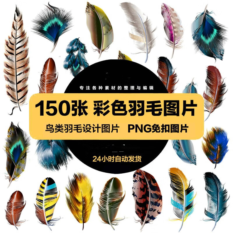 彩色高清绚丽鸟类羽毛飘落羽绒鸟羽图片png透明免扣ps设计素材 标准