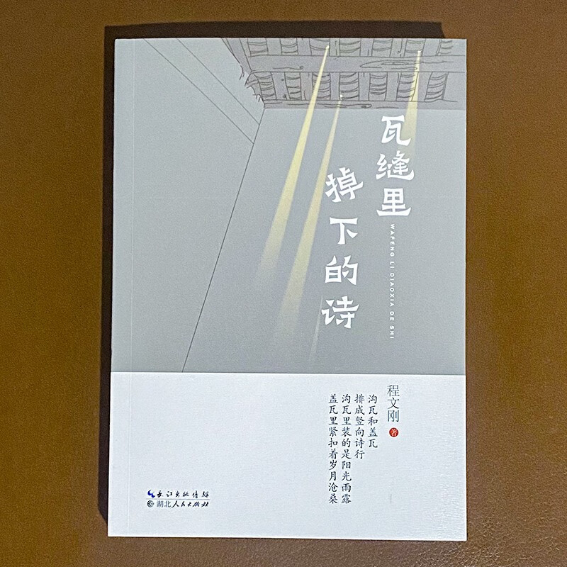 瓦缝里掉下的诗 程文刚 文学诗歌作品集 