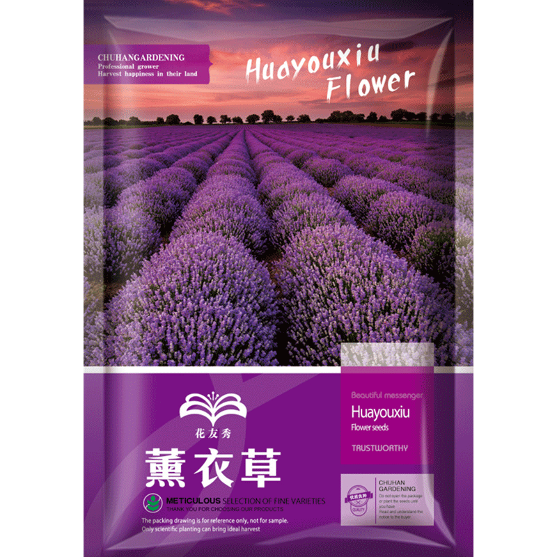 种薰衣草,美化生活|花友秀京东自营旗舰店种子评测