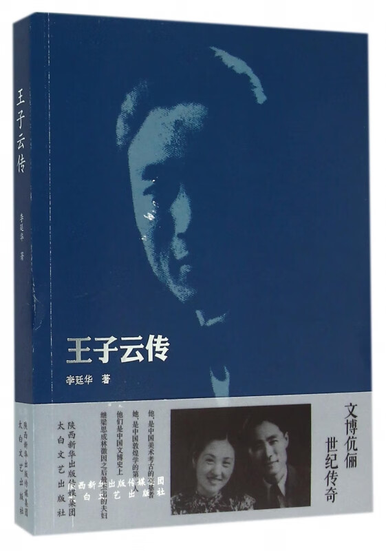 王子云传