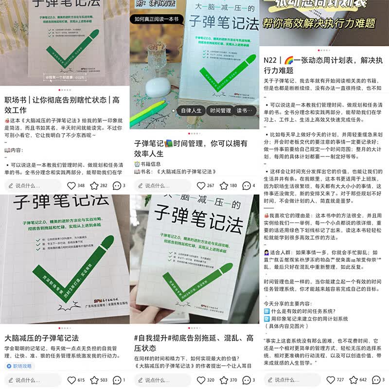 大脑减压的子弹笔记法（子弹笔记2.0，快狠准的笔记法）详情图