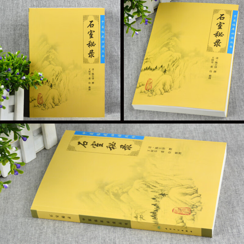 正版石室秘录全集陈士铎医学全书之一王树芬中医临床必读丛书人民卫生