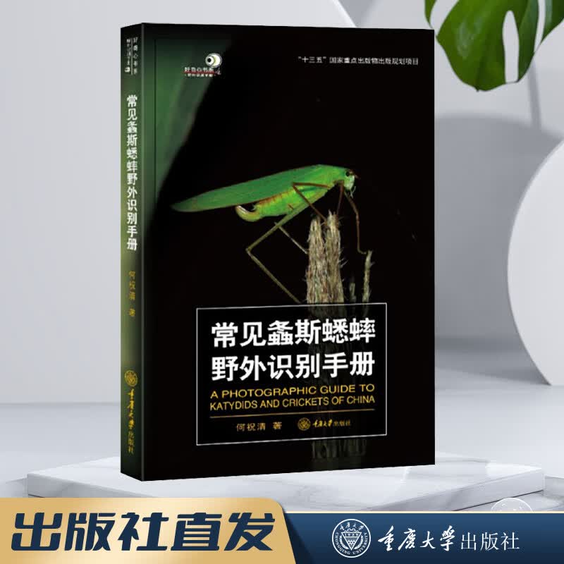 重庆大学科普书籍好奇心书系野外识别手册12册常见蜻蜓爬行动物蜘蛛蘑菇鸟类蜗牛天牛蝴蝶昆虫植物南方野花识别手册探寻自然的奥秘 常见螽斯蟋蟀野外识别手册