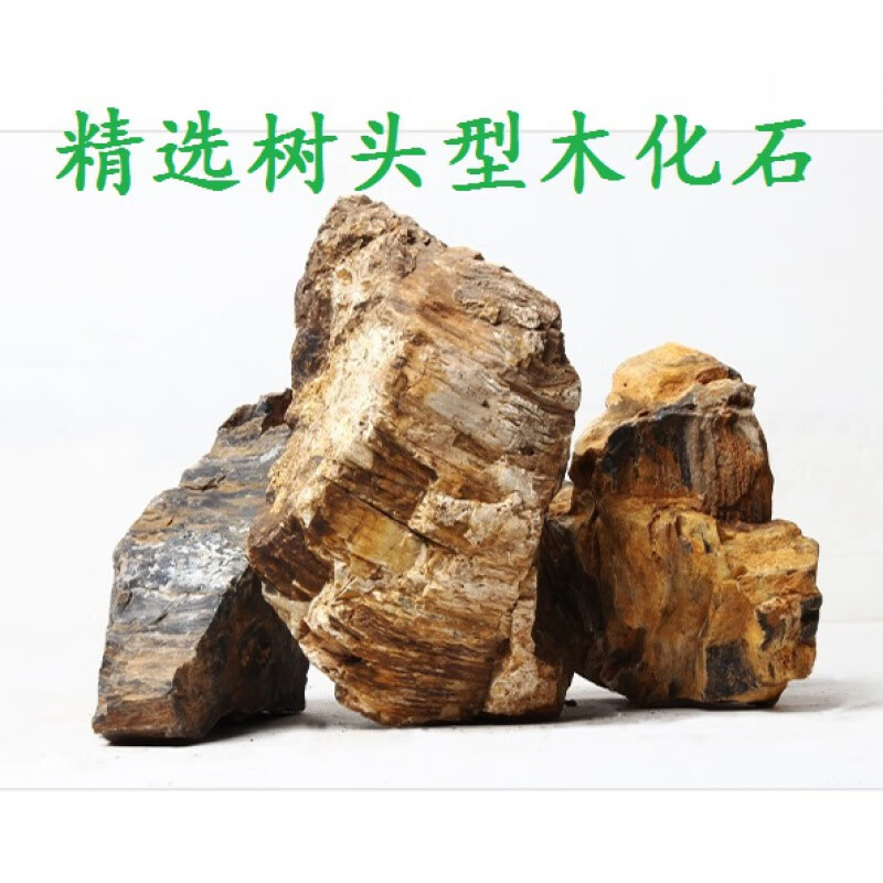 天然原石青龙石块鱼水族装饰水草造景草缸素材泰鹏 木化石树头形/5斤
