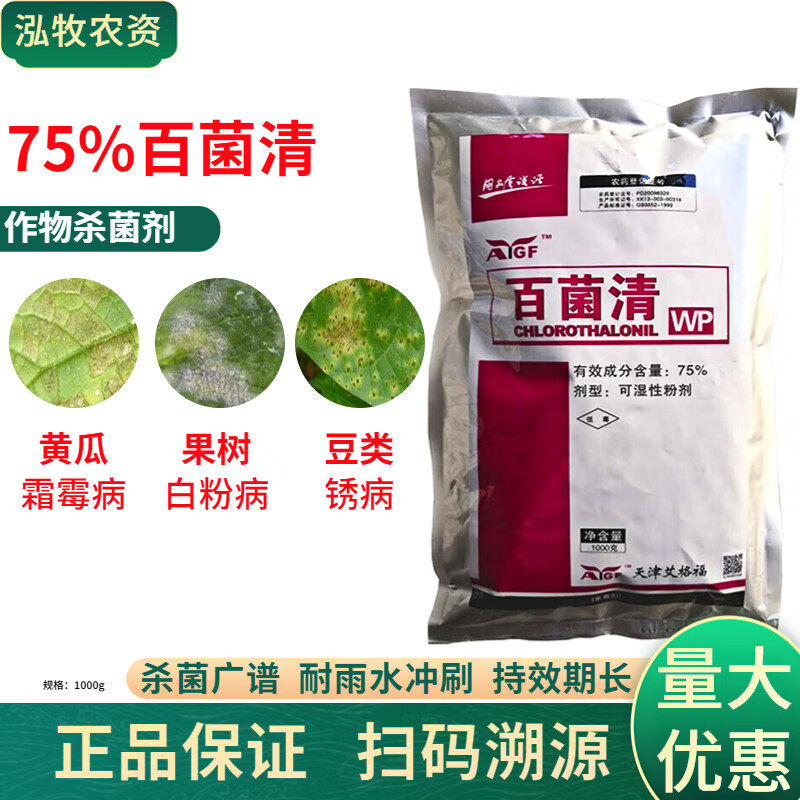 进口75%百菌清广谱花卉多肉剂白粉病炭疽病专用药100g1000g 100g