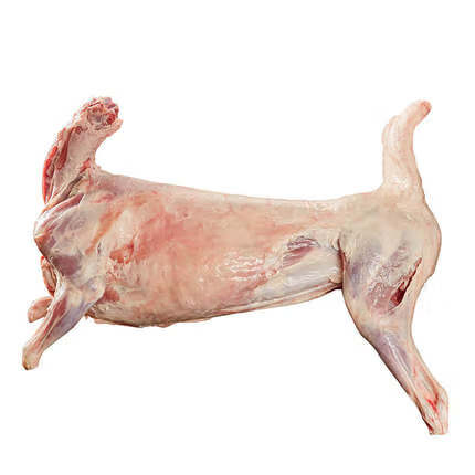 新鲜羊肉 新疆羊肉 新鲜现杀阿勒泰大尾羊羔羊肉送礼 红烧清水煮烤羊肉火锅食材抓饭团 新疆全羊整只羊26斤(送礼佳品 )