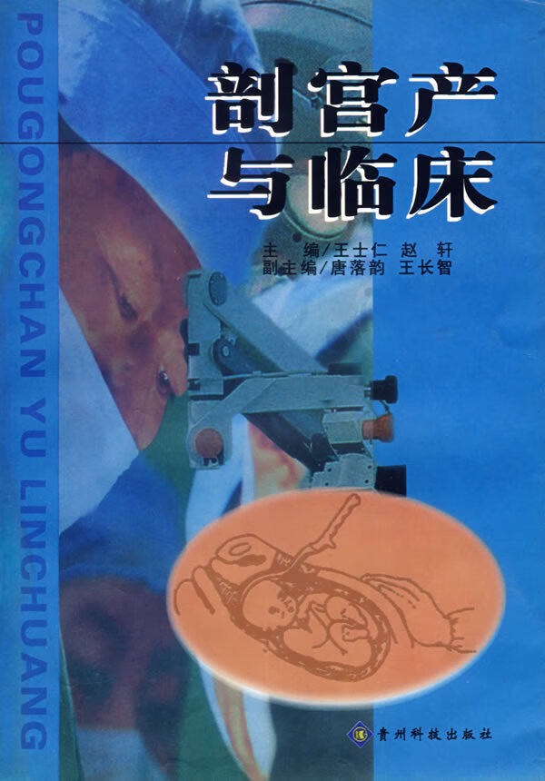 剖宫产与临床【正版图书】