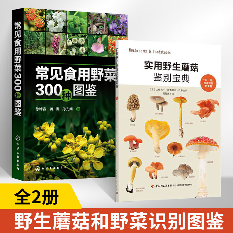 野生蘑菇使用图鉴书籍 食用蘑菇菌菇松茸菌类野生菌野生毒蘑菇识别