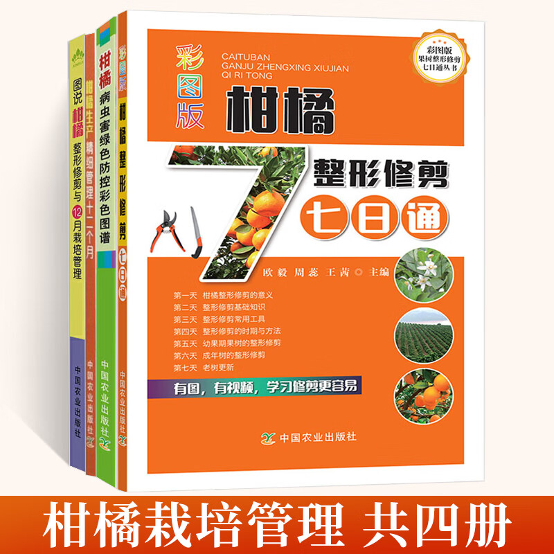 柑橘种植技术书籍4册 果树橘子桔子修剪农