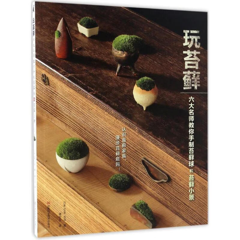 玩苔藓