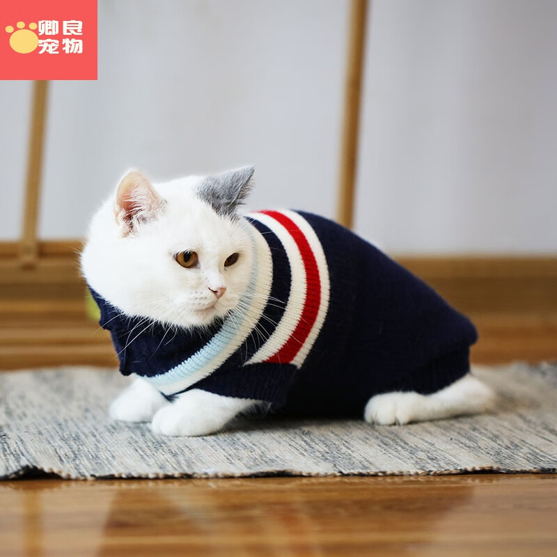 卿良宠物猫咪衣服小奶猫幼猫秋冬季防掉毛英短宠物猫猫冬装加厚保暖可爱 