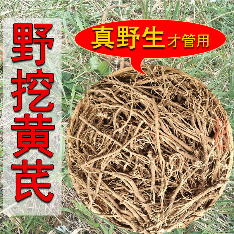 竺芝堂 特级黄芪野生正北芪生黄芪根灵芝党参可切片 真野生黄芪250克