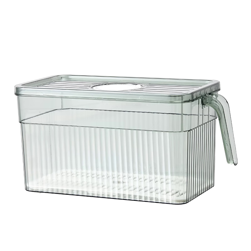 安扣 冰箱收纳盒食品级厨房食物蔬菜保鲜盒冰箱冷冻饺子水果鸡蛋储物盒 透明-2个装-大号