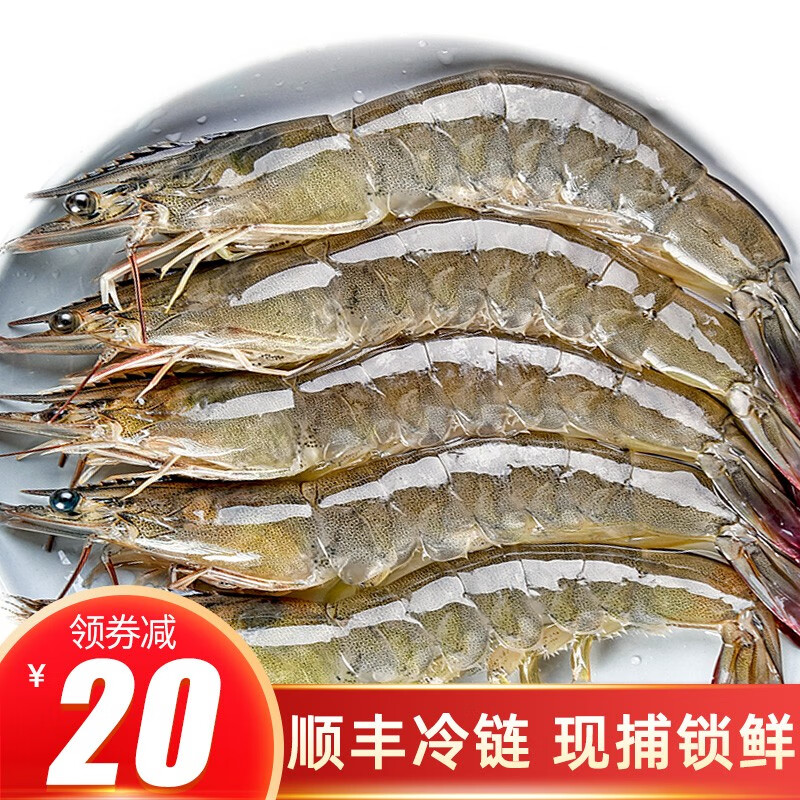 虾【领券减20元】青岛大虾 生鲜虾类 鲜海虾 基围虾 推荐13-15厘米（95%回头率） 净重3斤（七日内捕捞）